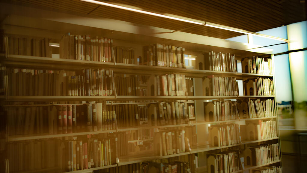 A sunlit stack in Temple's Charles library.