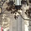 20150123_Stock_011_EDIT.jpg
