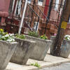 Picture of Row Homes with Flower Pots